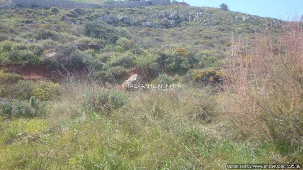 Οικόπεδο 750 τ.μ. προς πώληση, Χάνι Κοκκίνη