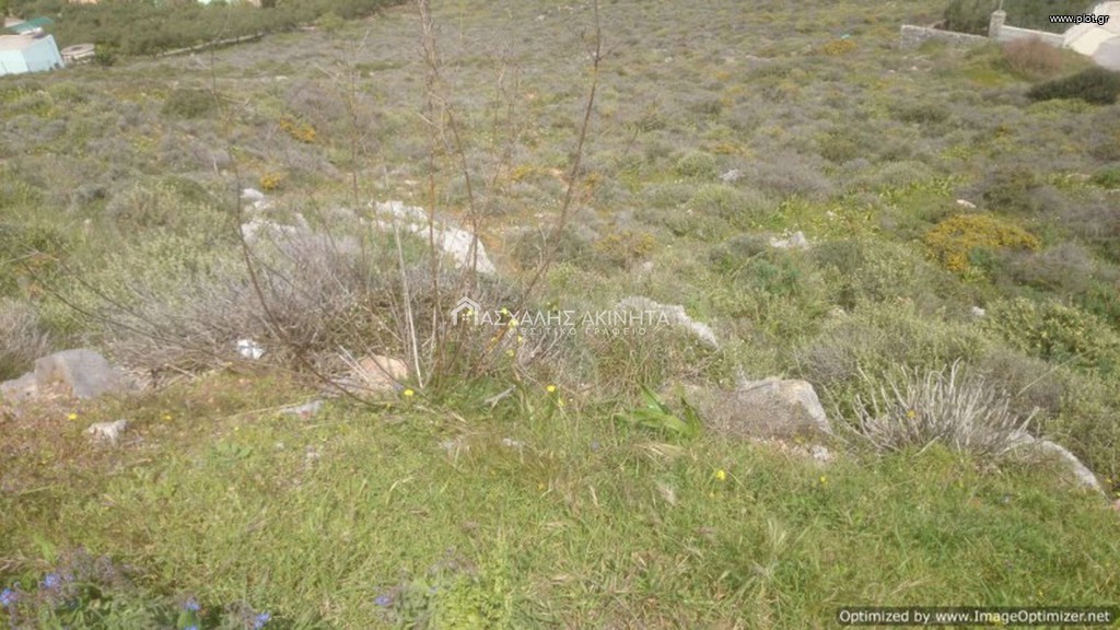 Οικόπεδο 750 τ.μ. προς πώληση, Χάνι Κοκκίνη