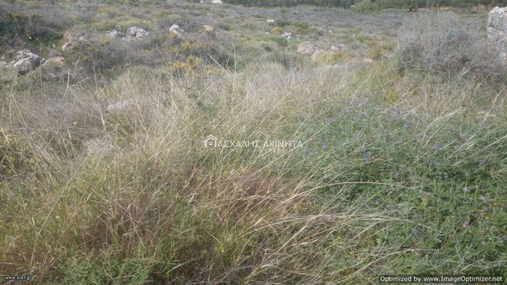 Οικόπεδο 4.000 τ.μ. προς πώληση, Χάνι Κοκκίνη
