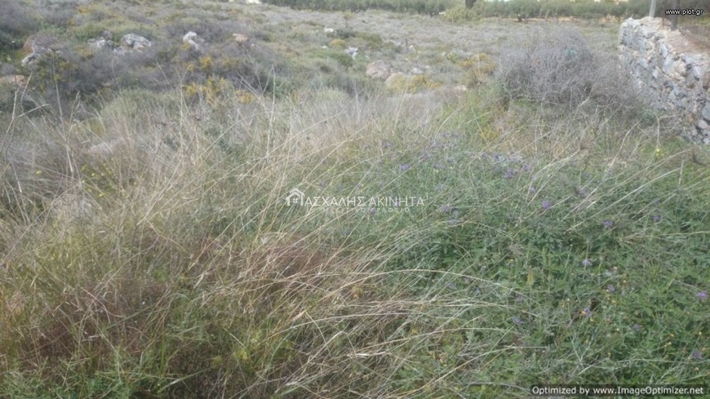Οικόπεδο 4.000 τ.μ. προς πώληση, Χάνι Κοκκίνη