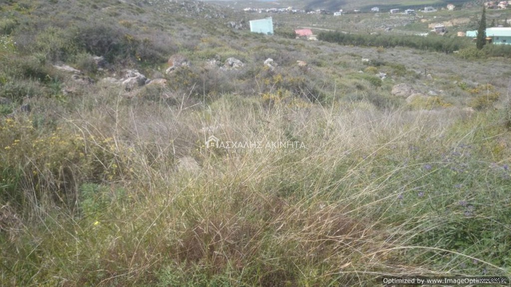 Οικόπεδο 4.000 τ.μ. προς πώληση, Χάνι Κοκκίνη