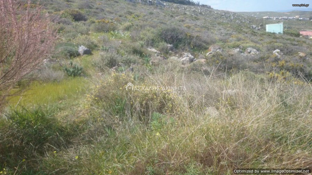 Οικόπεδο 4.000 τ.μ. προς πώληση, Χάνι Κοκκίνη