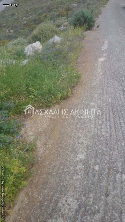Οικόπεδο 4.000 τ.μ. προς πώληση, Χάνι Κοκκίνη