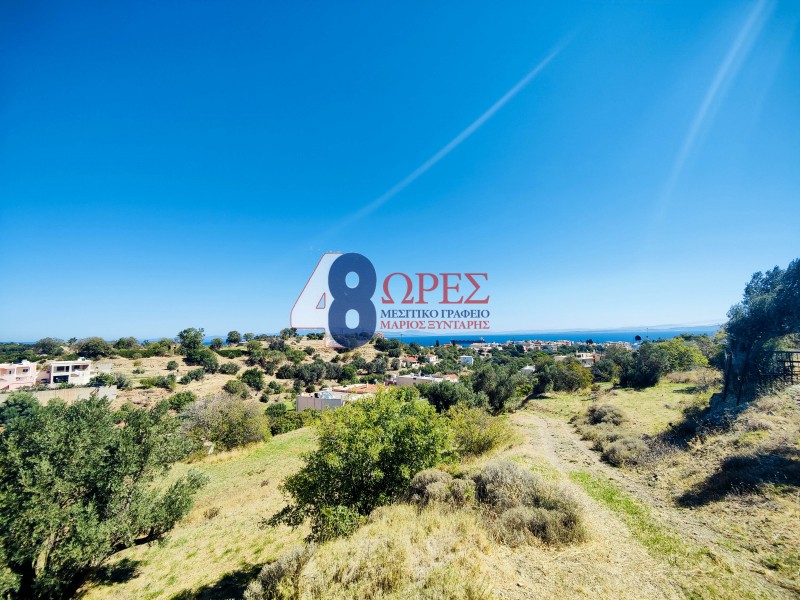 Οικόπεδο 10.450 τ.μ. προς πώληση, Πόλη Χίου
