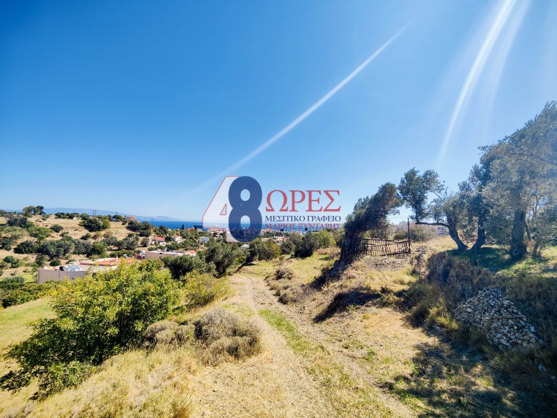 Οικόπεδο 10.450 τ.μ. προς πώληση, Πόλη Χίου