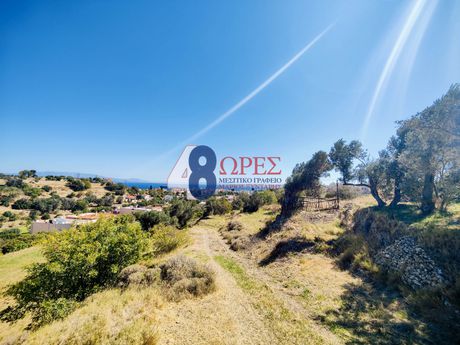 Οικόπεδο 10.450 τ.μ. για πώληση