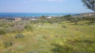Οικόπεδο 4.000 τ.μ. για πώληση