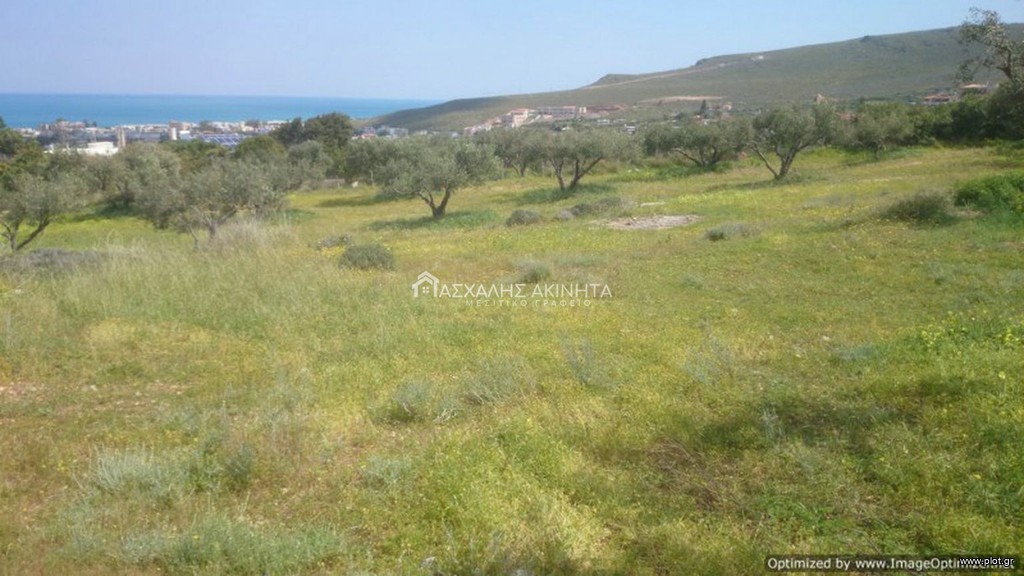 Οικόπεδο 4.000 τ.μ. προς πώληση, Χάνι Κοκκίνη