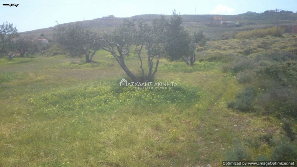Οικόπεδο 4.000 τ.μ. προς πώληση, Χάνι Κοκκίνη