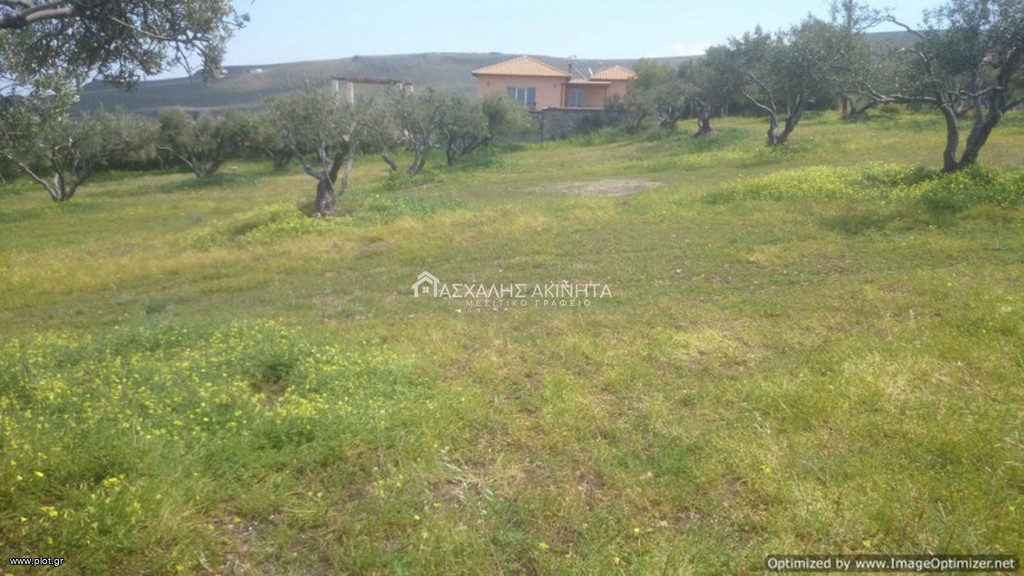 Οικόπεδο 4.000 τ.μ. προς πώληση, Χάνι Κοκκίνη