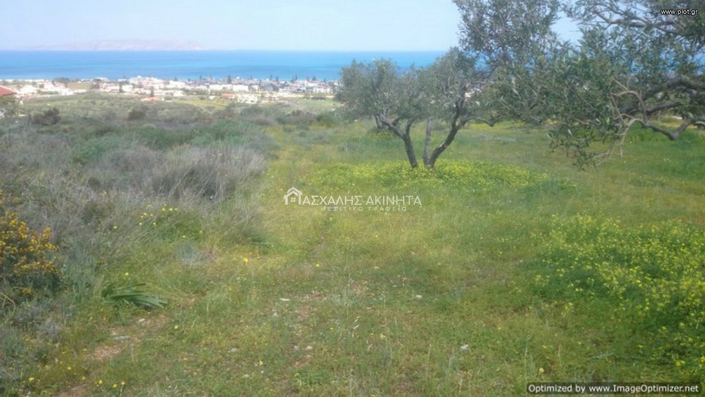 Οικόπεδο 4.000 τ.μ. προς πώληση, Χάνι Κοκκίνη