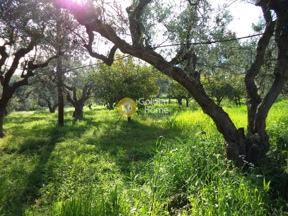 Αγροτεμάχια 1.518 τ.μ. για πώληση, Αχαΐα, Αίγιο