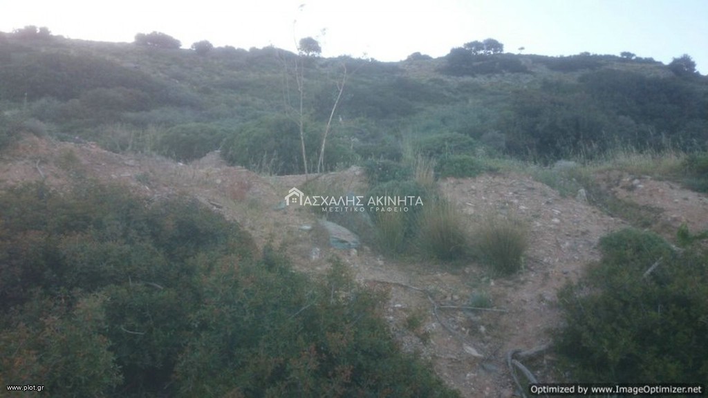 Αγροτεμάχια 24.000 τ.μ. προς πώληση, Ροδιά Γαζίου