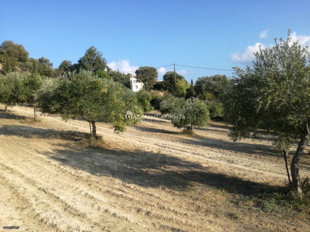 Οικόπεδο 4.800 τ.μ. προς πώληση, Βούτες