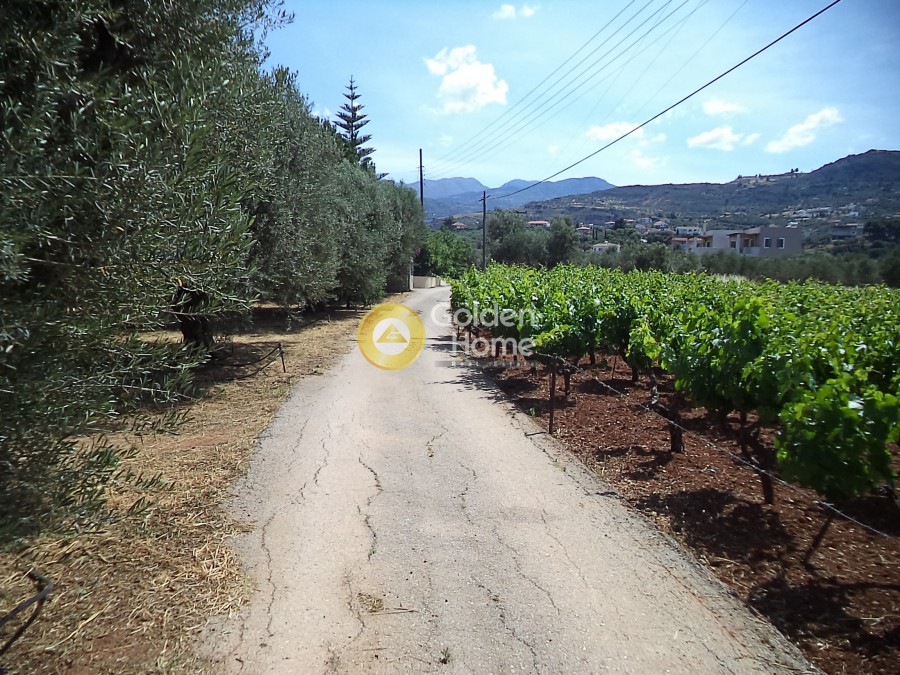 Οικόπεδο 5.000 τ.μ. για πώληση, Ν. Καρδίτσας, Σοφάδες