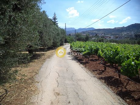 Οικόπεδο 5.000 τ.μ. για πώληση