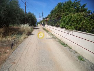 Land plot 5.000 sqm for sale, Karditsa Prefecture, Sofades-thumb-3