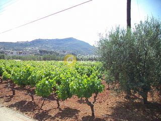 Land plot 5.000 sqm for sale, Karditsa Prefecture, Sofades-thumb-1