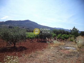 Land plot 5.000 sqm for sale, Karditsa Prefecture, Sofades-thumb-2
