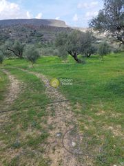 Οικόπεδο 5.200 τ.μ. για πώληση
