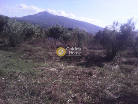 Parcel 4.100sqm for sale-Krioneri » Zoni Chondreboriou
