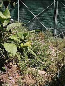 Land plot 45sqm for sale-Heraclion Cretes » Chrysopigi