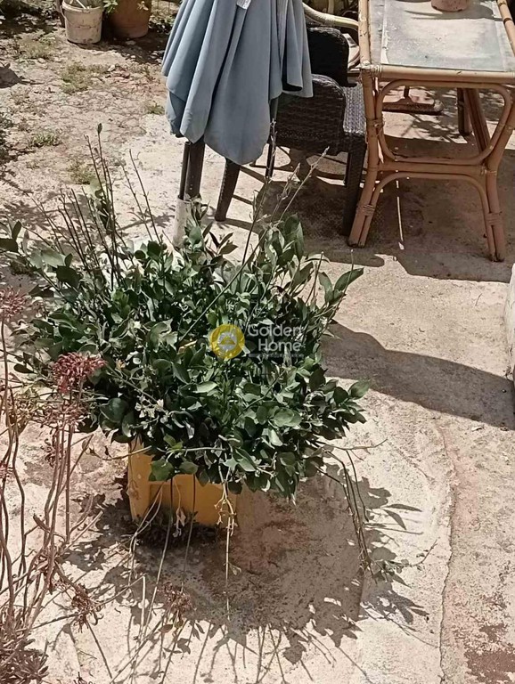 Οικόπεδο 51 τ.μ. προς πώληση, Χρυσοπηγή Ηρακλείου