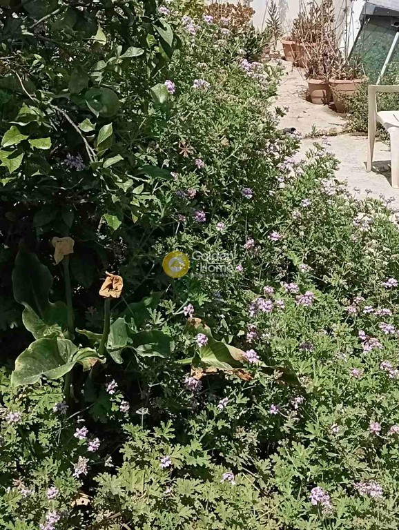 Οικόπεδο 51 τ.μ. προς πώληση, Χρυσοπηγή Ηρακλείου