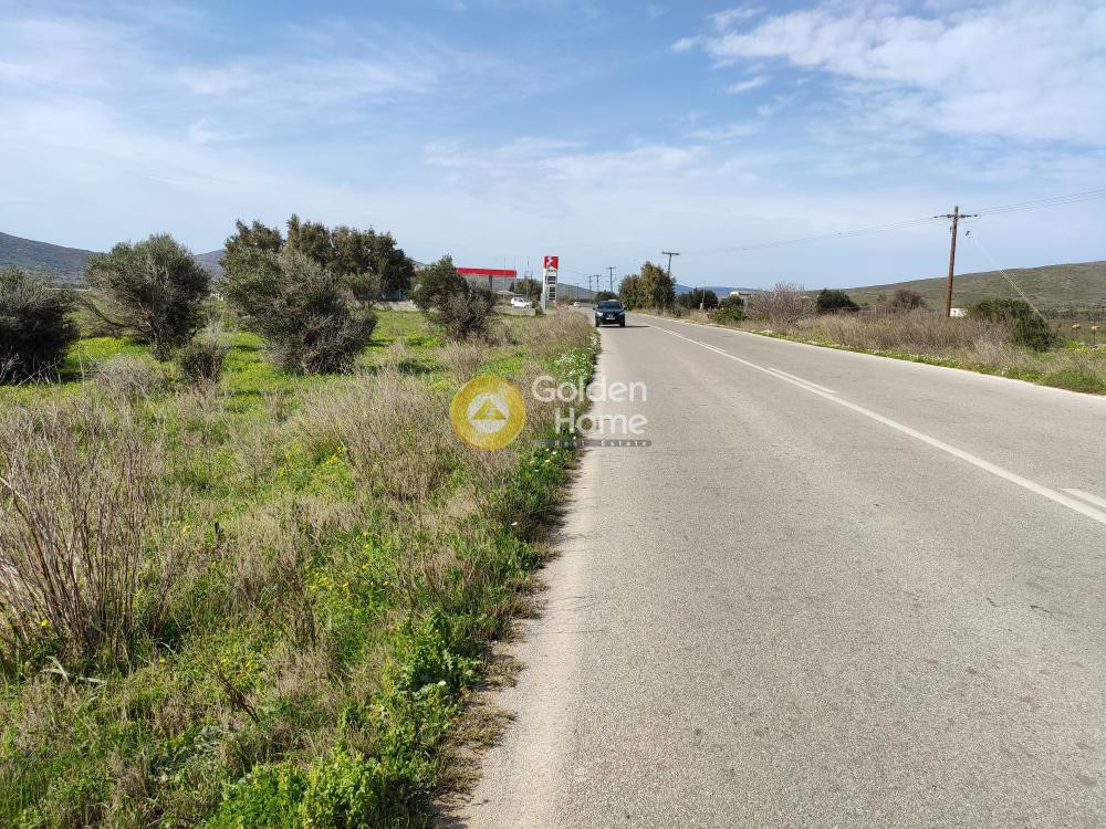 Αγροτεμάχια 1.431 τ.μ. προς πώληση, Λυκόρεμα Μαρμαρίου