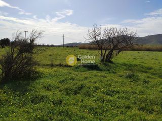 Αγροτεμάχια 1.431 τ.μ. προς πώληση, Λυκόρεμα Μαρμαρίου-thumb-7
