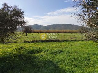 Αγροτεμάχια 1.431 τ.μ. προς πώληση, Λυκόρεμα Μαρμαρίου-thumb-6