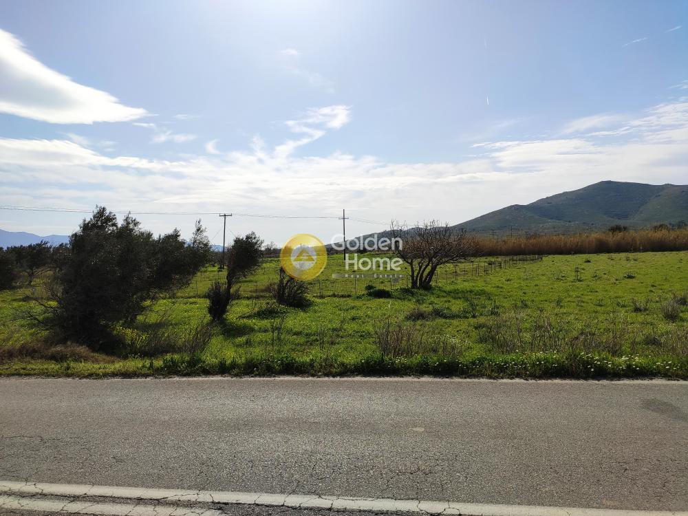 Αγροτεμάχια 1.431 τ.μ. προς πώληση, Λυκόρεμα Μαρμαρίου