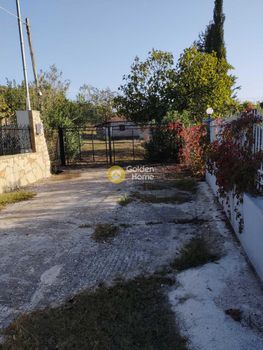 Αγροτεμάχια 33.000 τ.μ. για πώληση