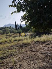 Αγροτεμάχια 33.000 τ.μ. προς πώληση, Πηγάδια Ωλένιας-thumb-7