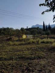 Αγροτεμάχια 33.000 τ.μ. προς πώληση, Πηγάδια Ωλένιας-thumb-5