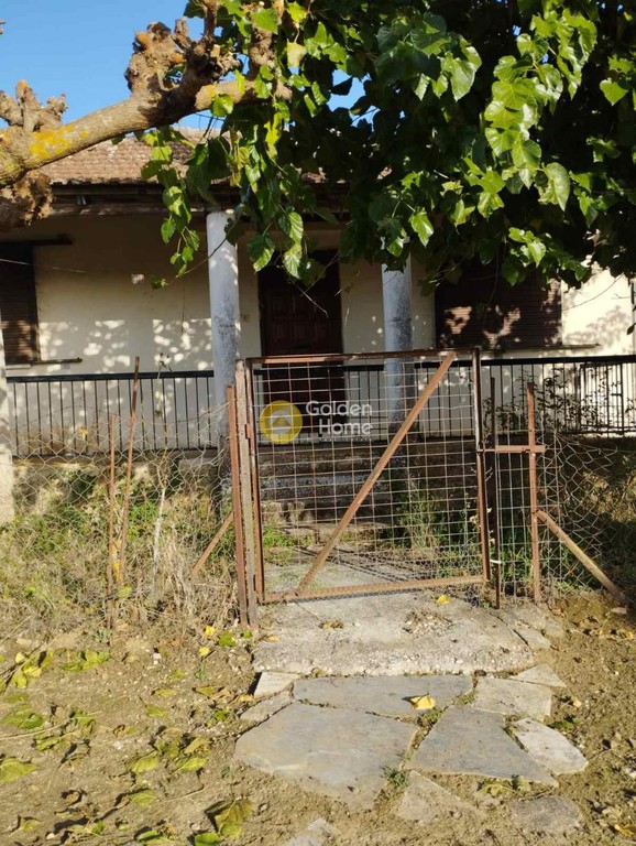 Αγροτεμάχια 33.000 τ.μ. προς πώληση, Πηγάδια Ωλένιας