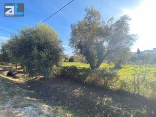 Οικόπεδο 3.500 τ.μ. πρός πώληση, Αχαΐα, Παραλία-thumb-6