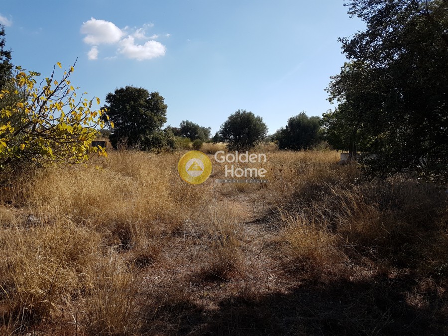 Οικόπεδο 1.706 τ.μ. πρός ενοικίαση, Αθήνα - Βόρεια Προάστια, Βριλήσσια