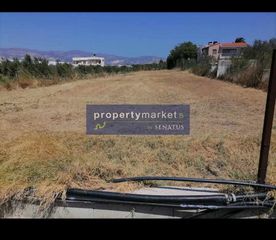 Αγροτεμάχια 1.500 τ.μ. για ενοικίαση, Ν. Λασιθίου, Ιεράπετρα-thumb-2