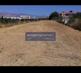 Αγροτεμάχια 1.500 τ.μ. για ενοικίαση, Ν. Λασιθίου, Ιεράπετρα-thumb-1
