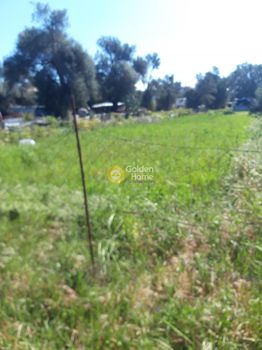 Land plot 915sqm for sale-Moires » Monochoro