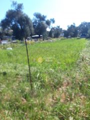 Οικόπεδο 915 τ.μ. για πώληση