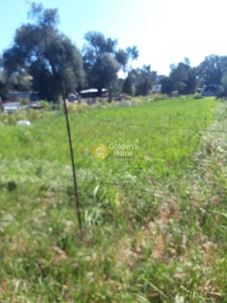 Οικόπεδο 915 τ.μ. για πώληση, Ν. Ηρακλείου, Μοίρες