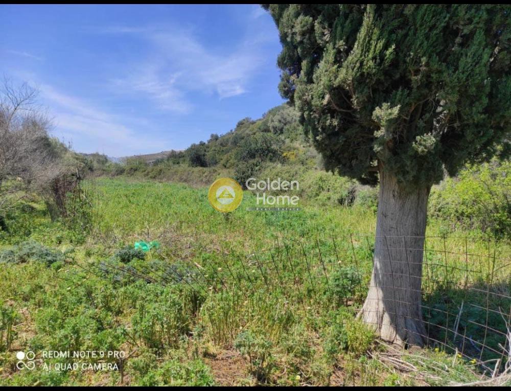 Οικόπεδο 8.500 τ.μ. για πώληση, Ν. Ρεθύμνου, Γεροπόταμος