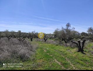 Οικόπεδο 8.500 τ.μ. για πώληση, Ν. Ρεθύμνου, Γεροπόταμος-thumb-2