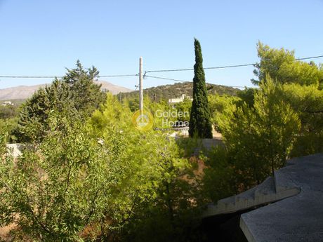 Land plot 800sqm for sale-Alexandroupoli » Center