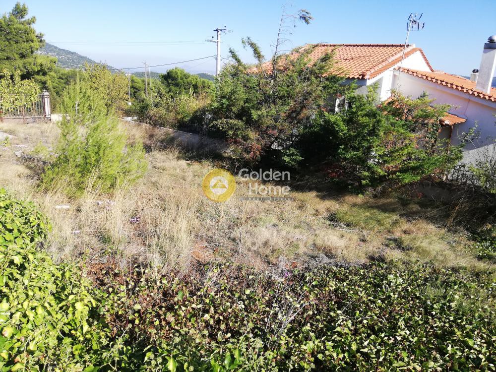 Κτίριο 195 τ.μ. προς πώληση, Πόρτο Γερμενό