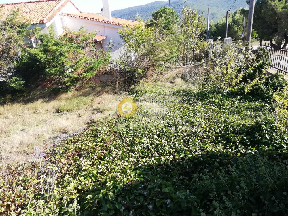 Κτίριο 195 τ.μ. προς πώληση, Πόρτο Γερμενό
