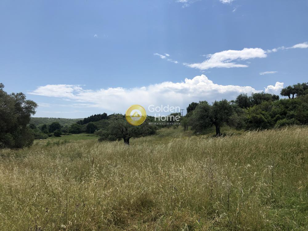 Οικόπεδο 8.000 τ.μ. προς πώληση, Νέα Ρόδα