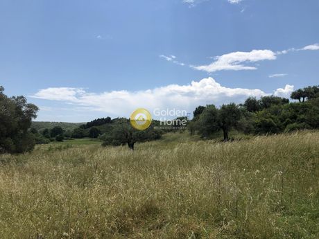 Land plot 8.000sqm for sale-Stagiron - Akanthou » Nea Roda